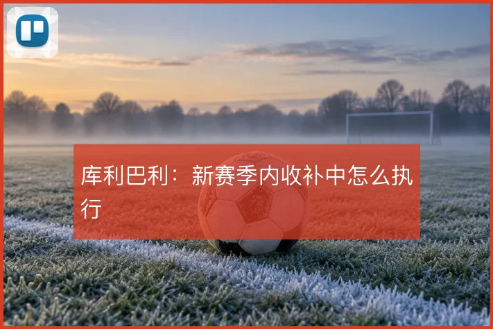 库利巴利：新赛季内收补中怎么执行