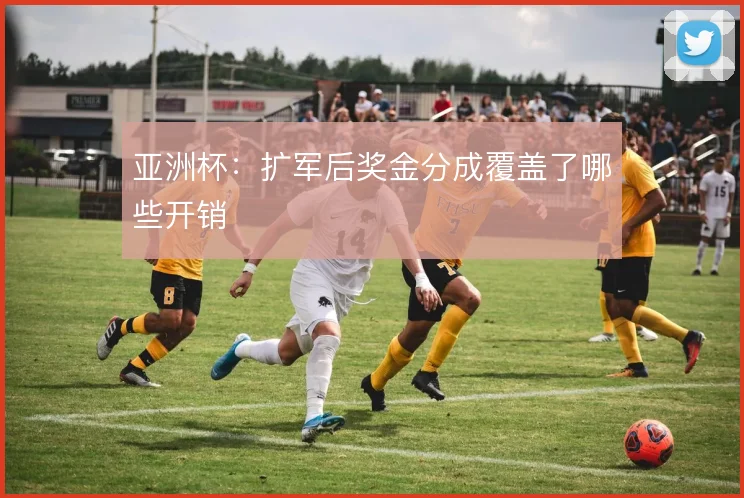 亚洲杯:扩军后奖金分成覆盖了哪些开销