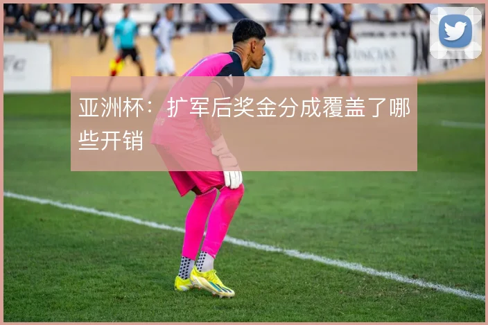亚洲杯：扩军后奖金分成覆盖了哪些开销